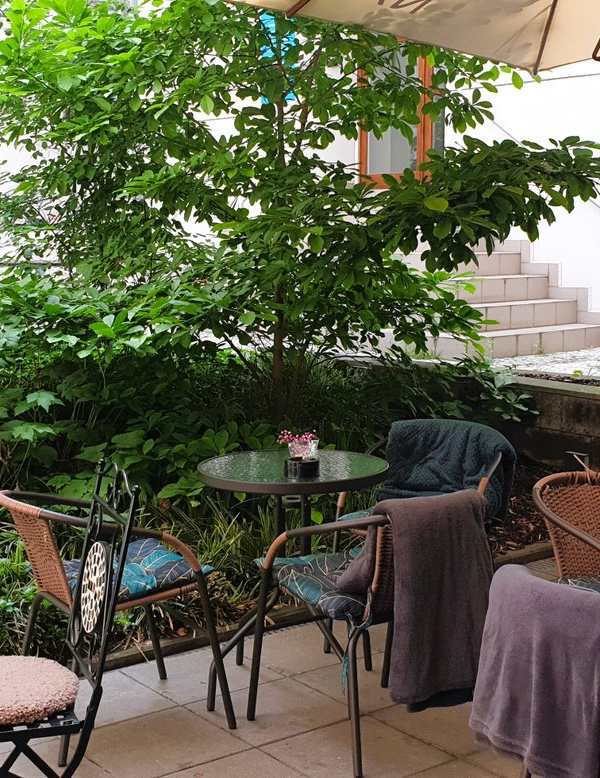 Courtyard terrace, wide shot: round tables with teal cushioned chairs and blankets, dense green plants, cream parasol, building wall behind. Bright daylight.